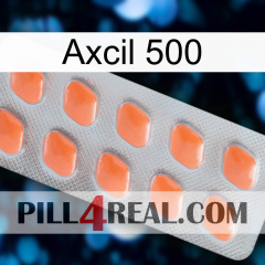 Axcil 500 26